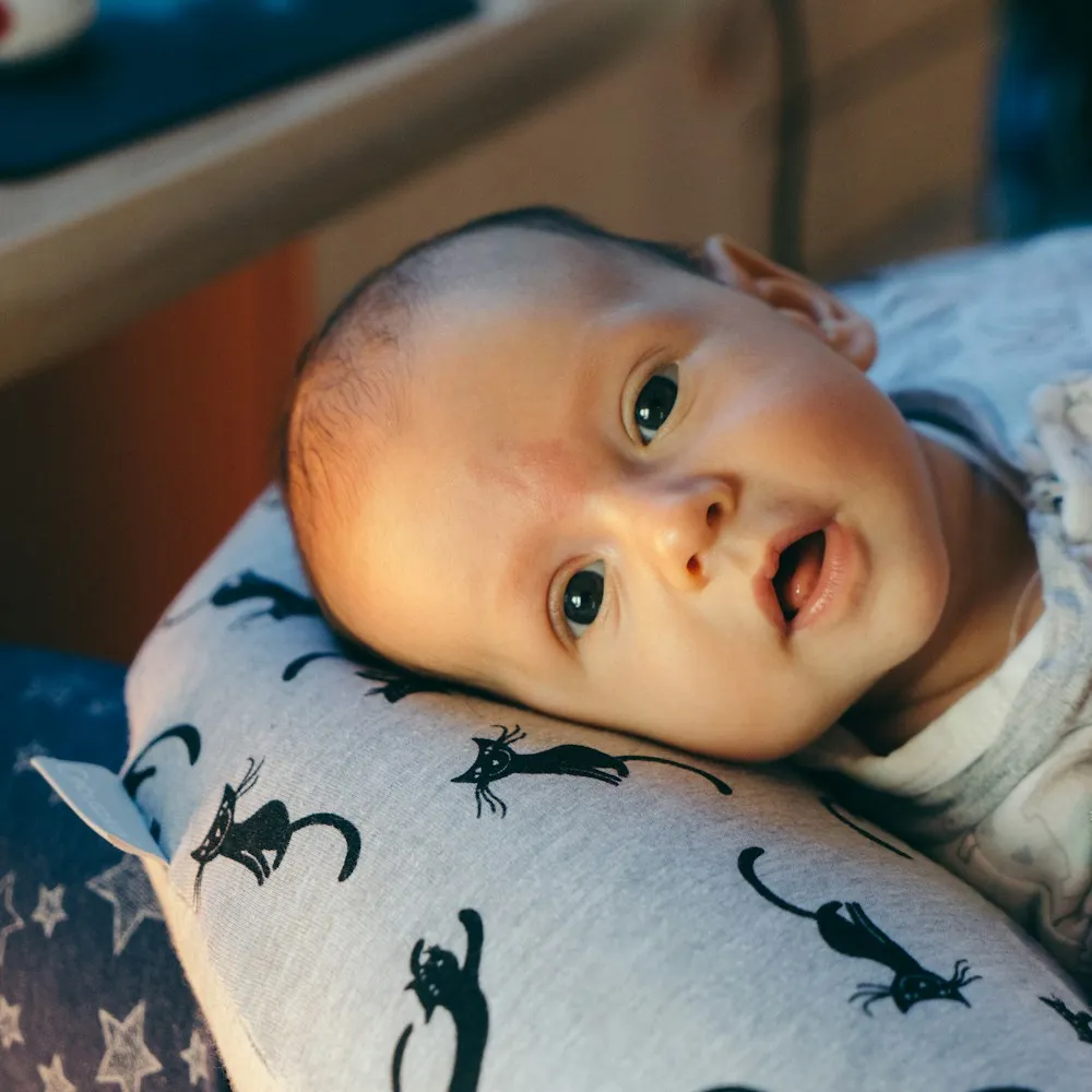 Nursing Pillow